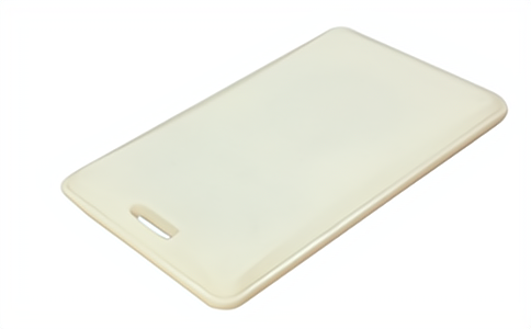 有源人員管理雙頻電子標簽WT2867